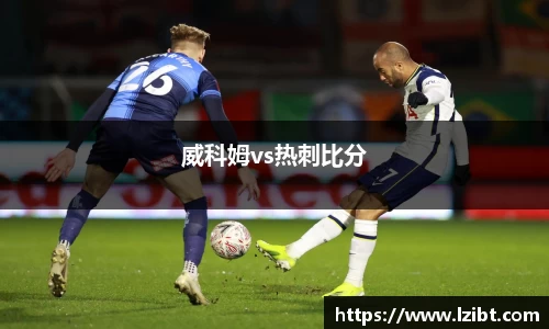 DG视讯平台